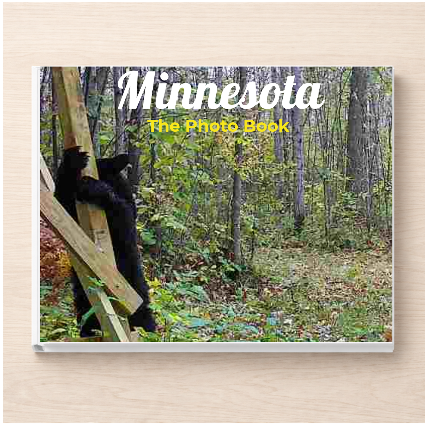 Minnesota: The Photo Book