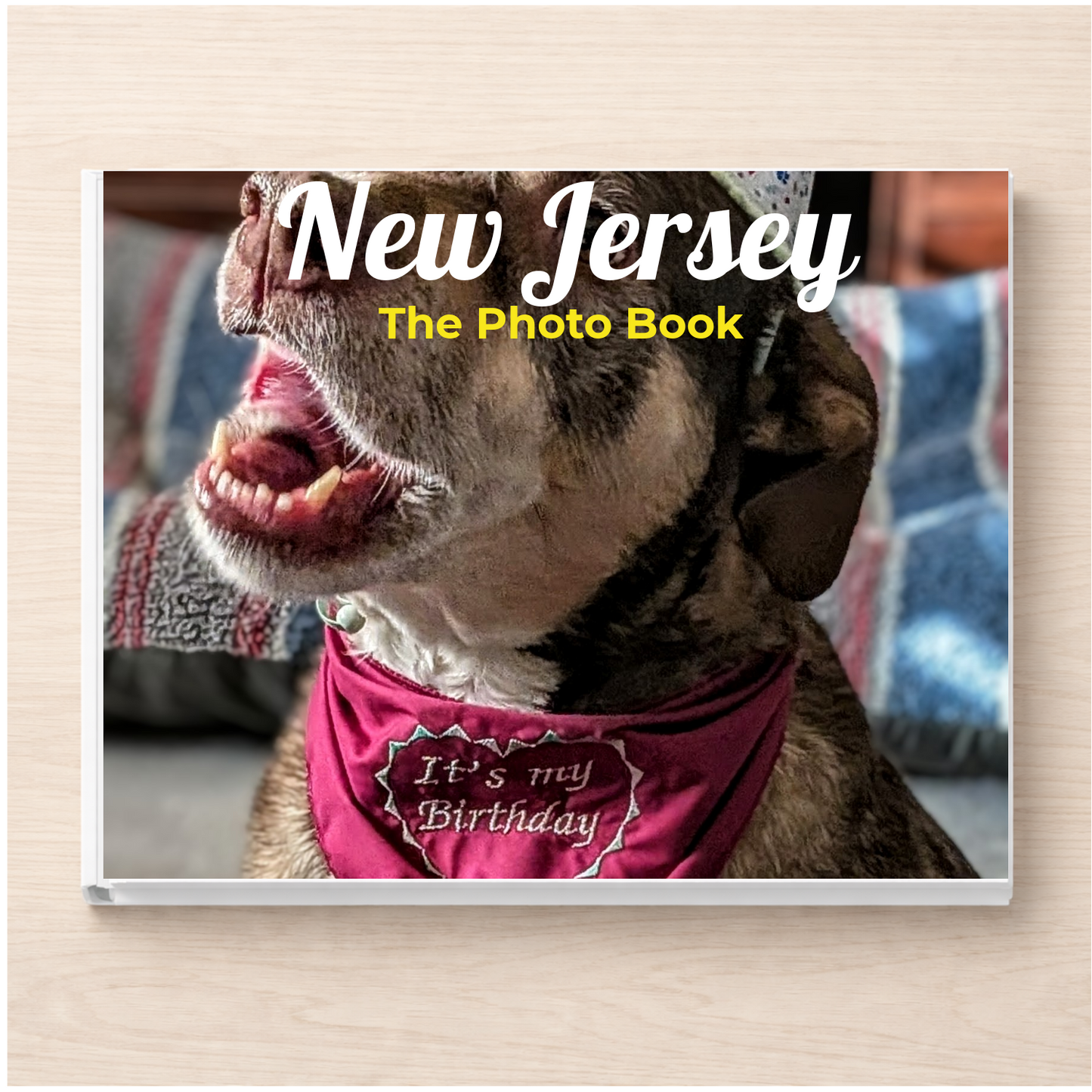 New Jersey: The Photo Book