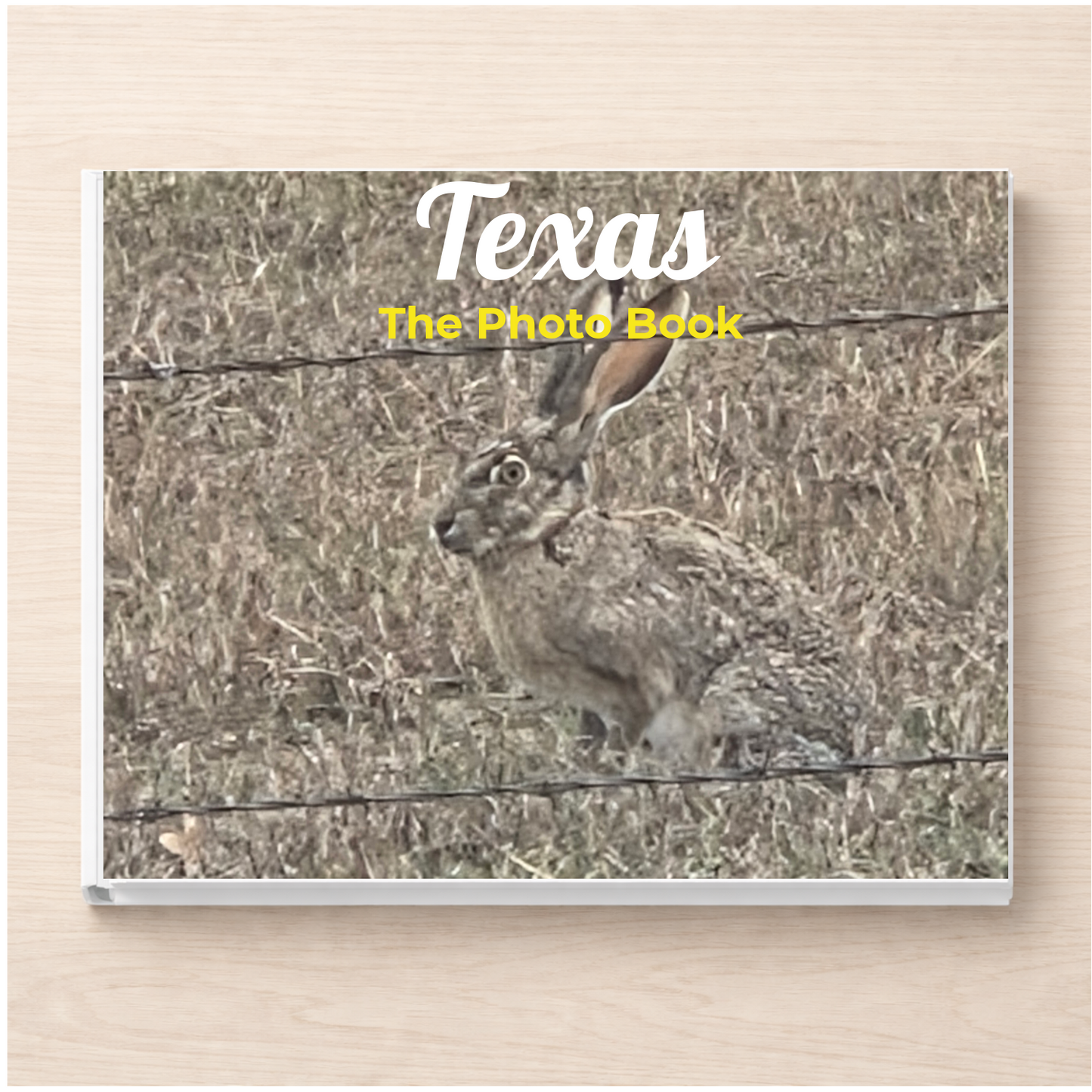 Texas: The Photo Book