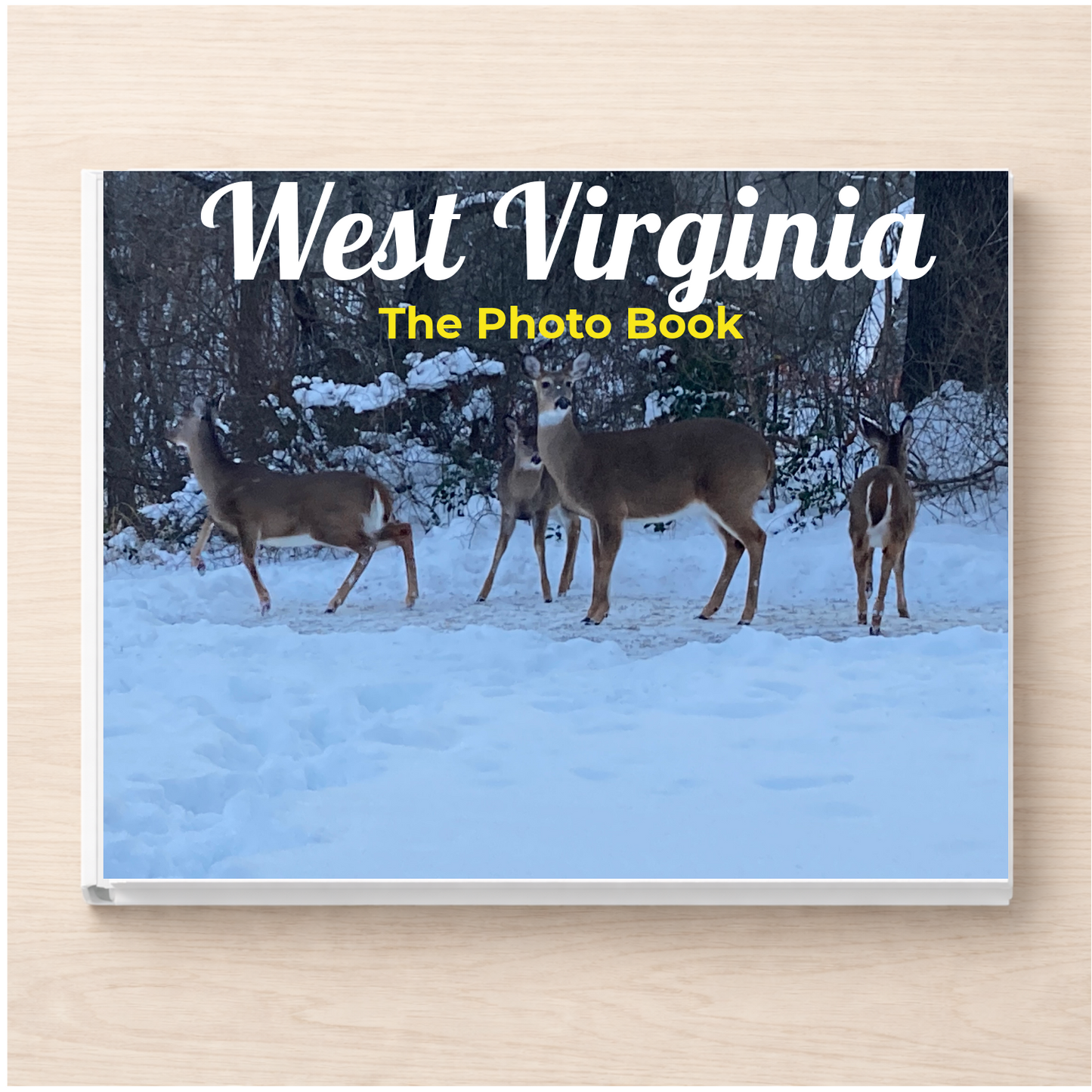 West Virginia: The Photo Book