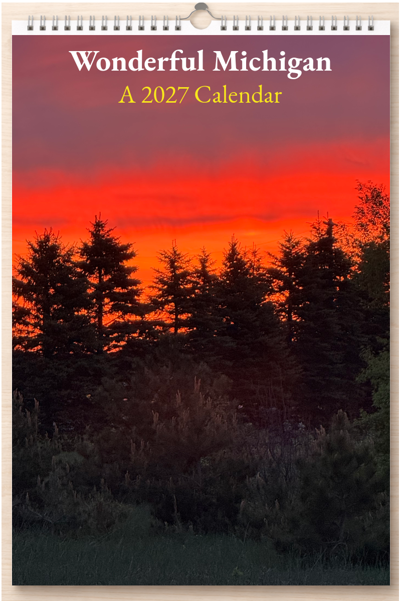 Wonderful Michigan: A 2027 Calendar