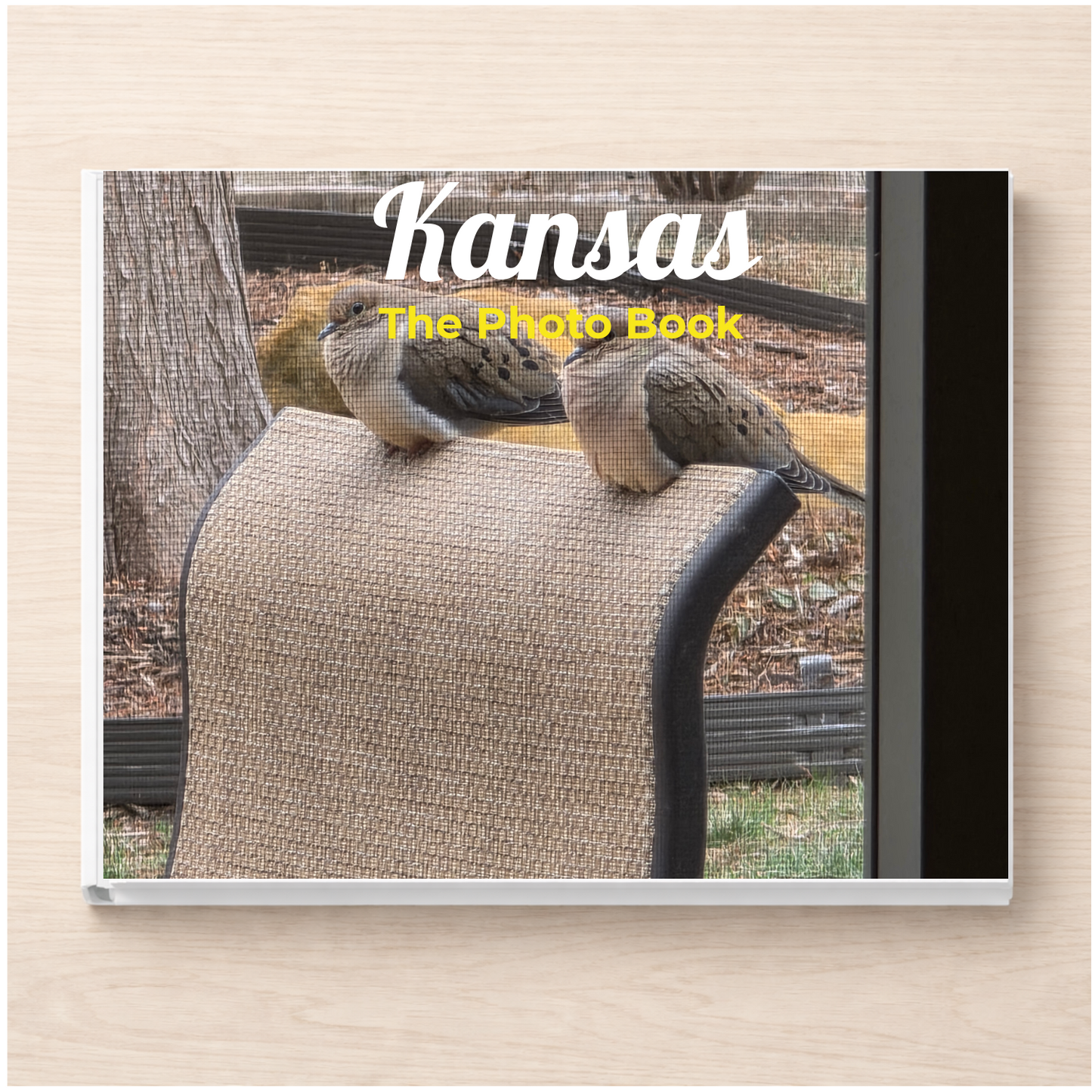 Kansas: The Photo Book