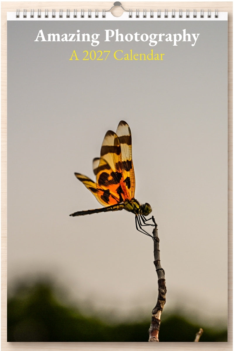 Amazing Photography: A 2027 Calendar