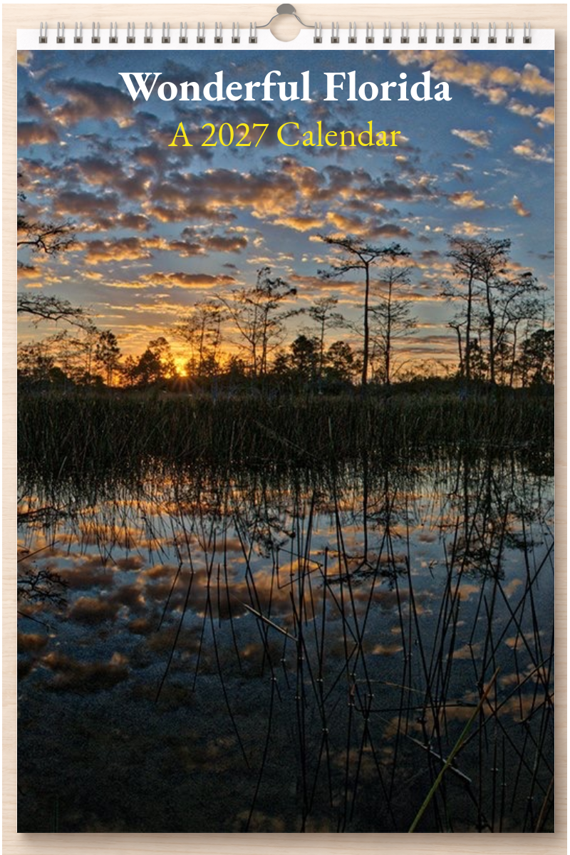 Wonderful Florida: A 2027 Calendar