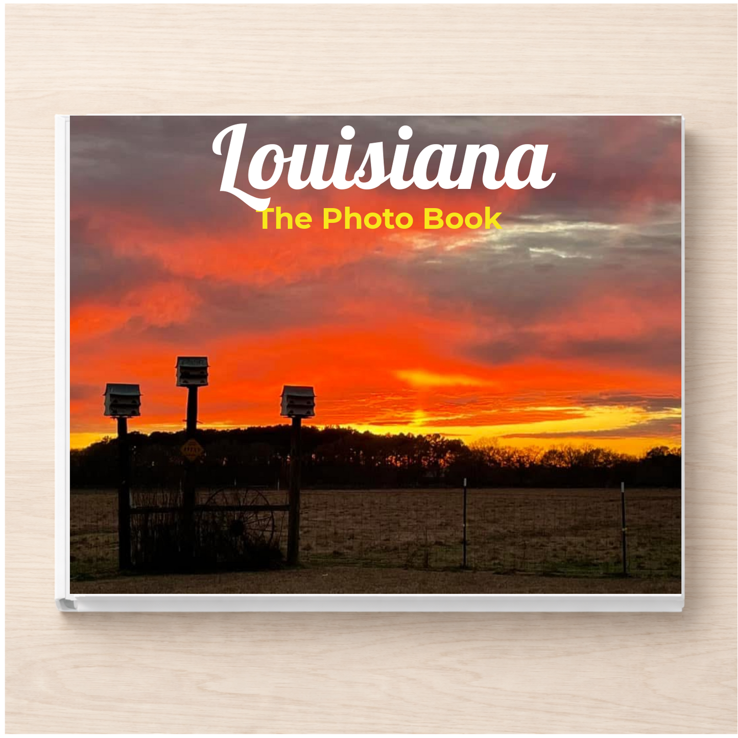 Louisiana: The Photo Book