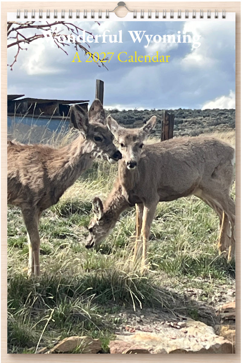 Wonderful Wyoming: A 2027 Calendar