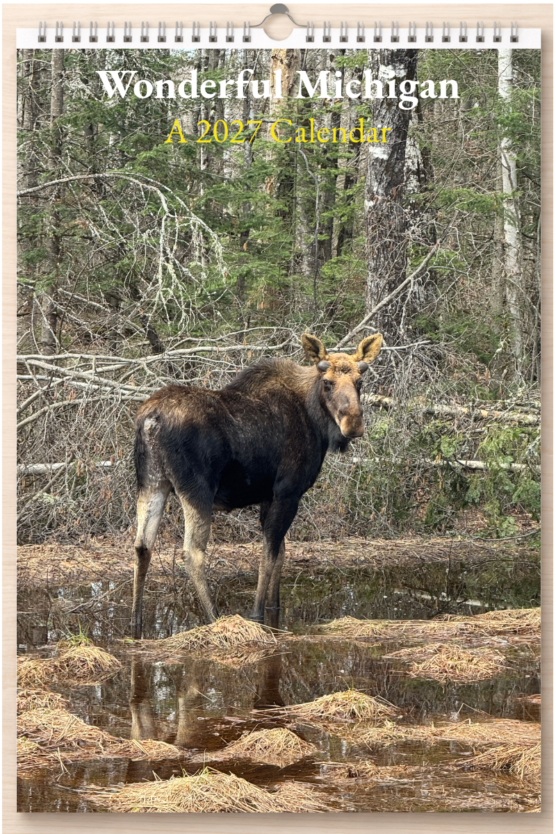 Wonderful Michigan: A 2027 Calendar