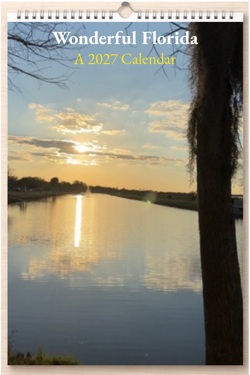 Wonderful Florida: A 2027 Calendar