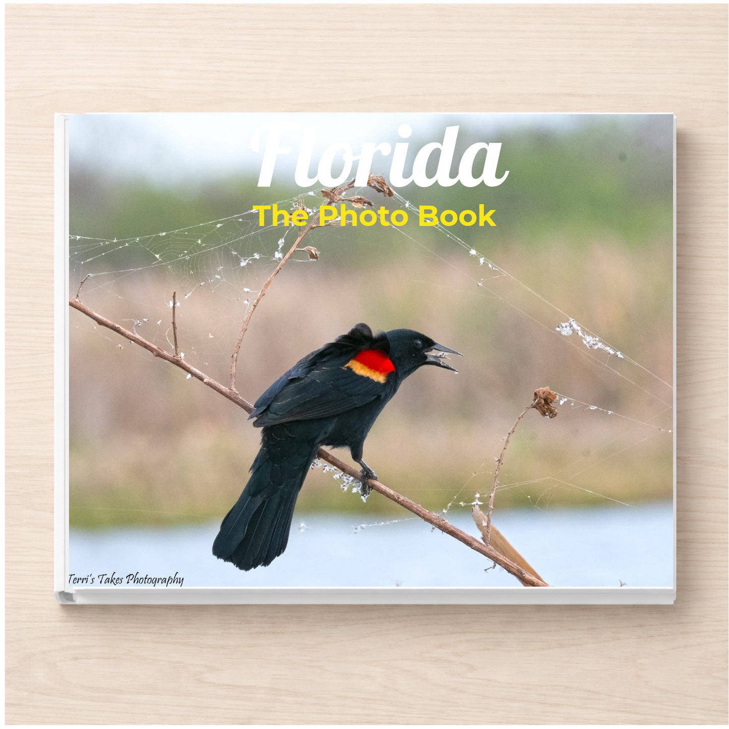 Florida: The Photo Book