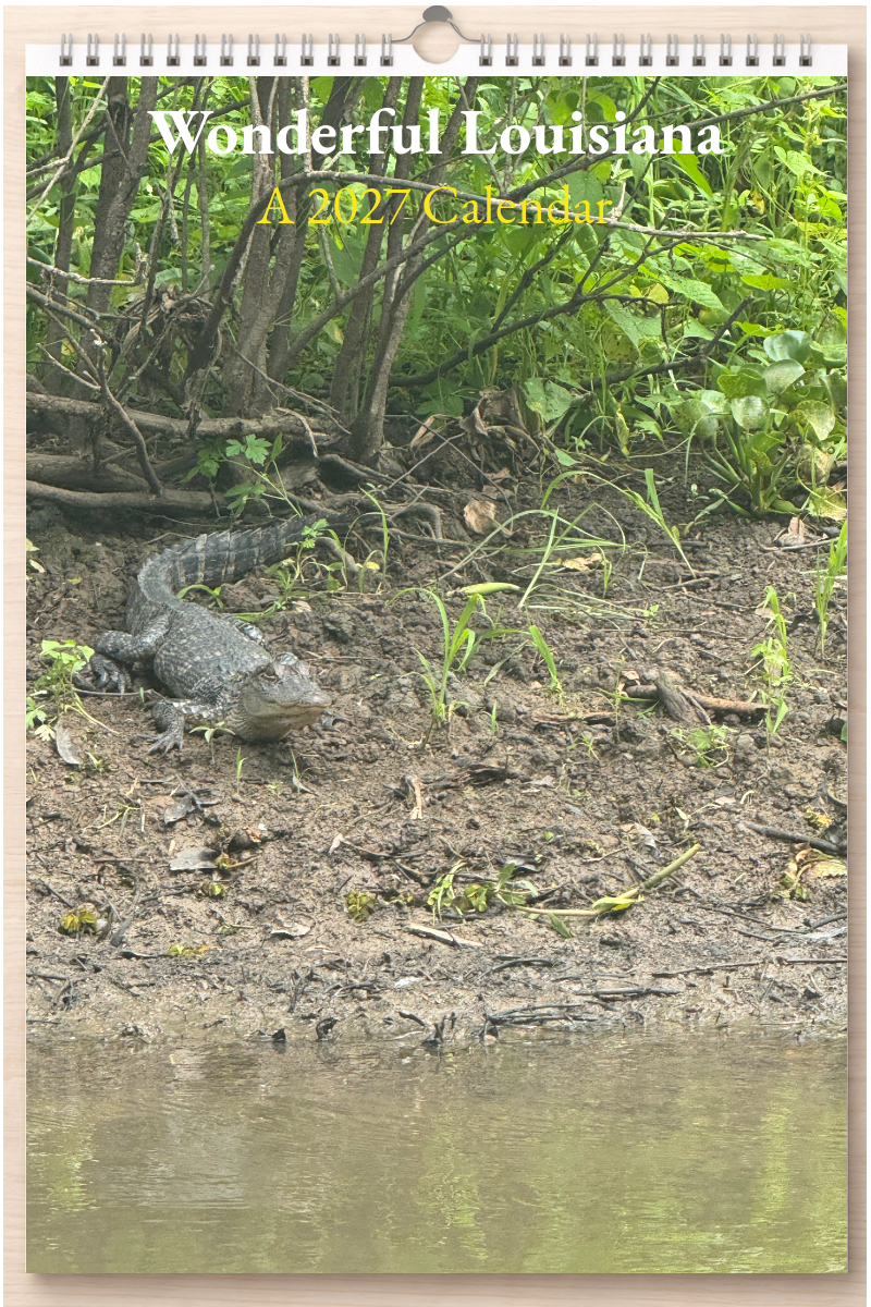 Wonderful Louisiana: A 2027 Calendar