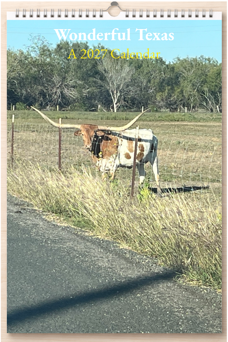 Wonderful Texas: A 2027 Calendar