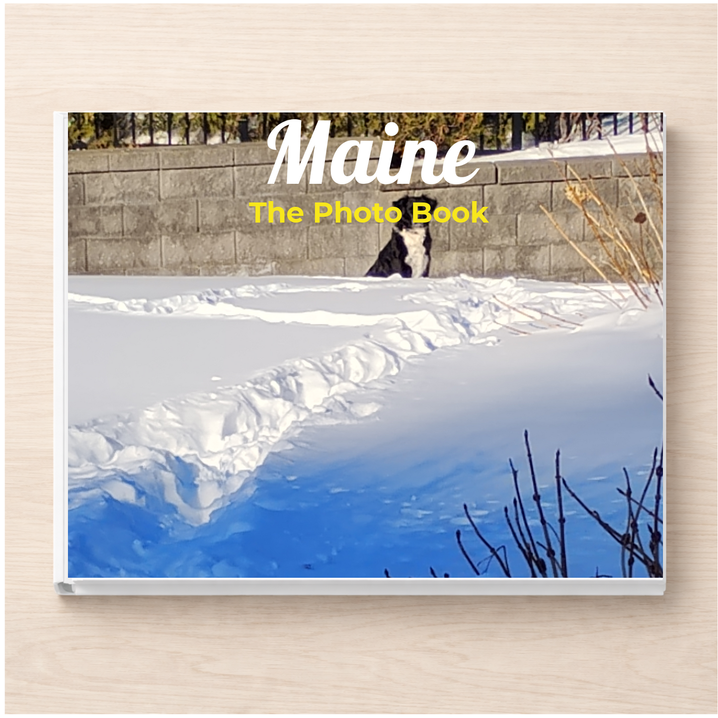 Maine: The Photo Book