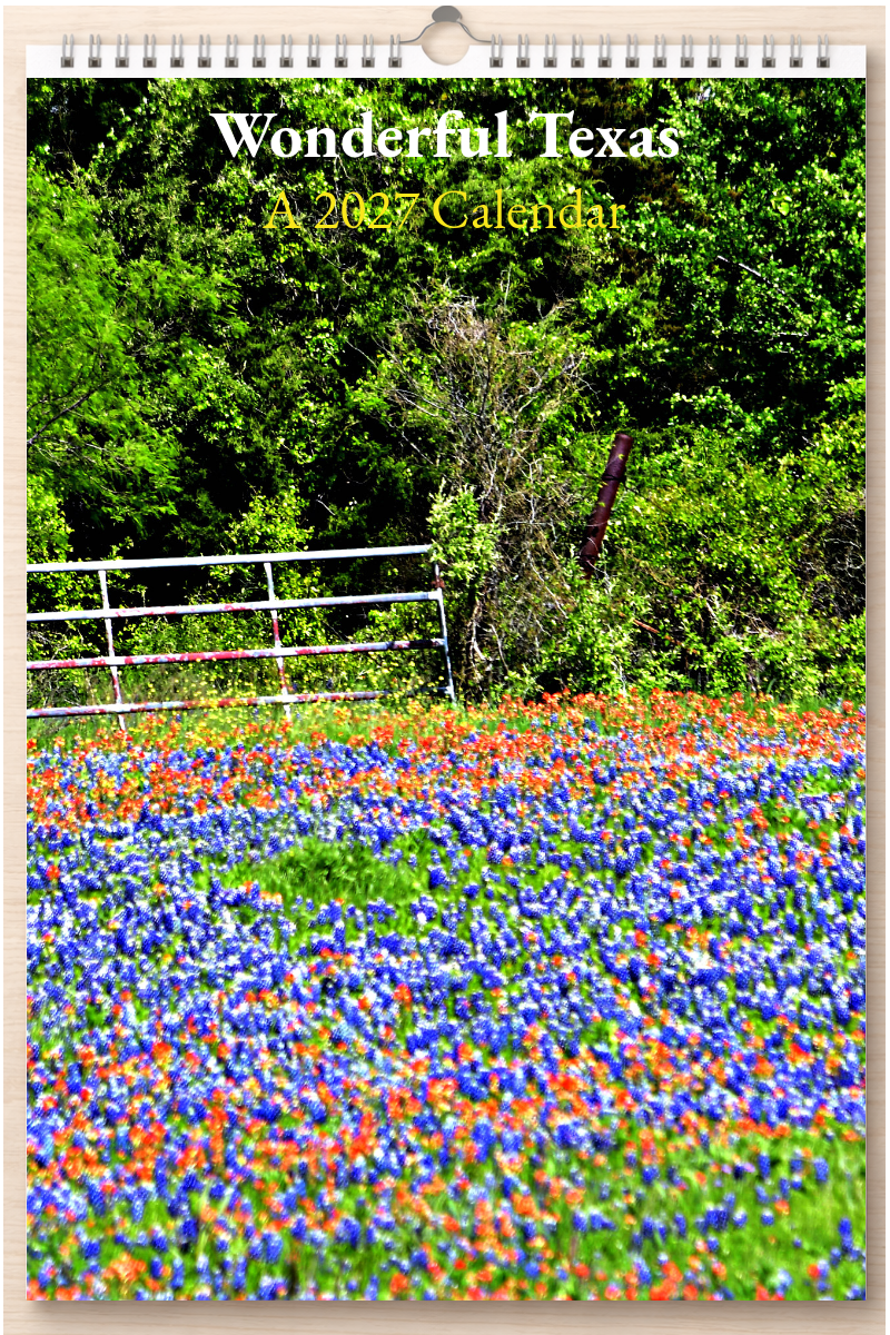 Wonderful Texas: A 2027 Calendar