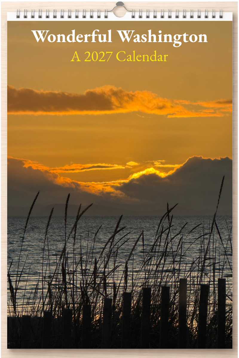 Wonderful Washington: A 2027 Calendar