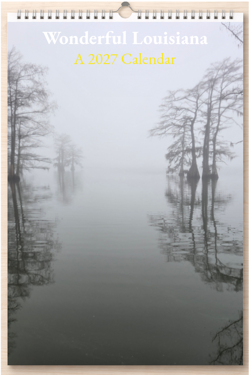 Wonderful Louisiana: A 2027 Calendar