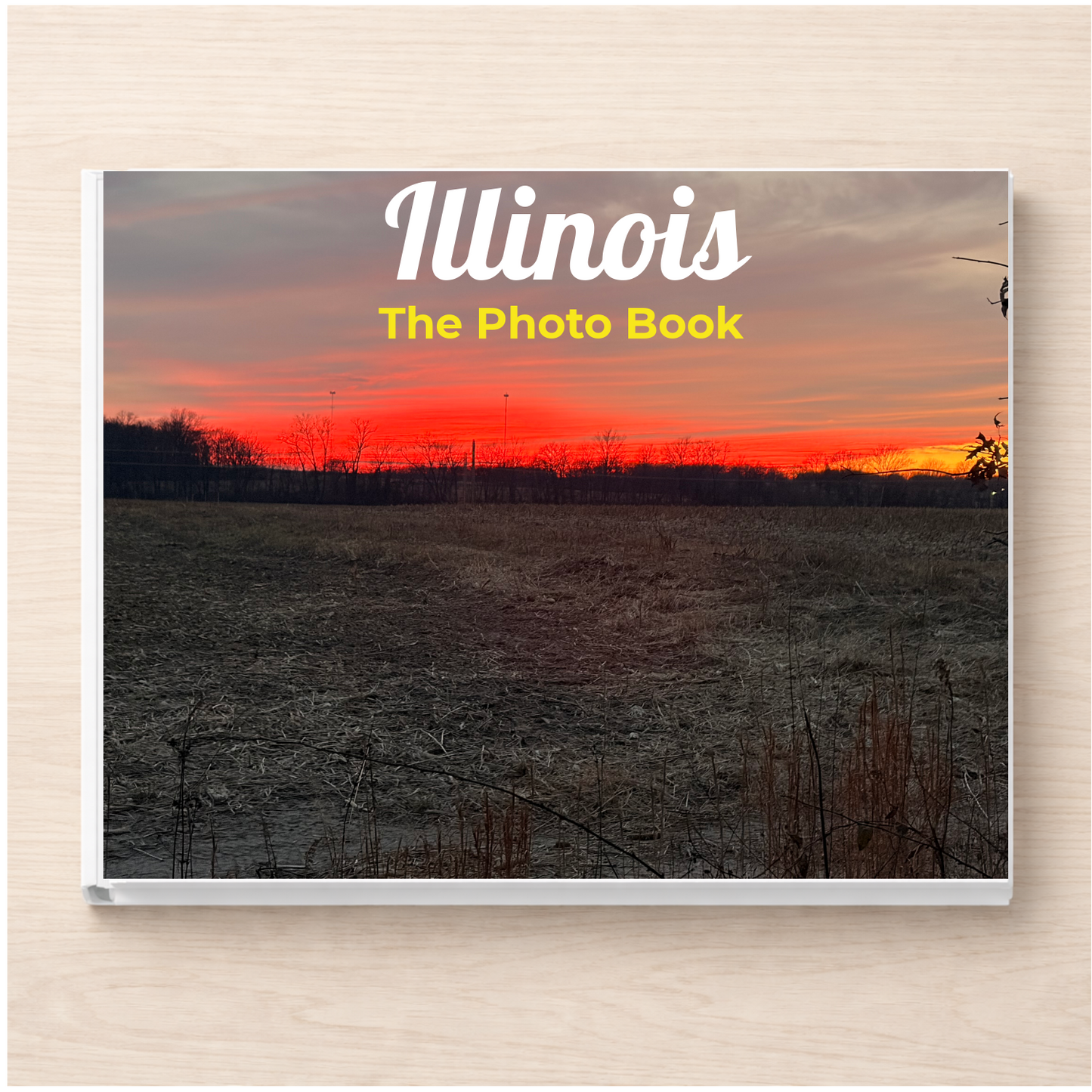 Illinois: The Photo Book