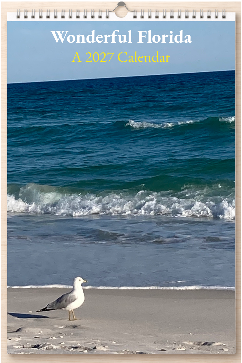 Wonderful Florida: A 2027 Calendar