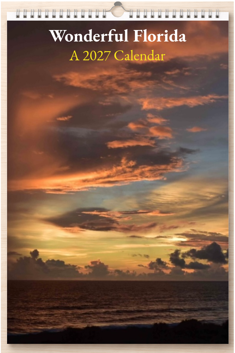 Wonderful Florida: A 2027 Calendar