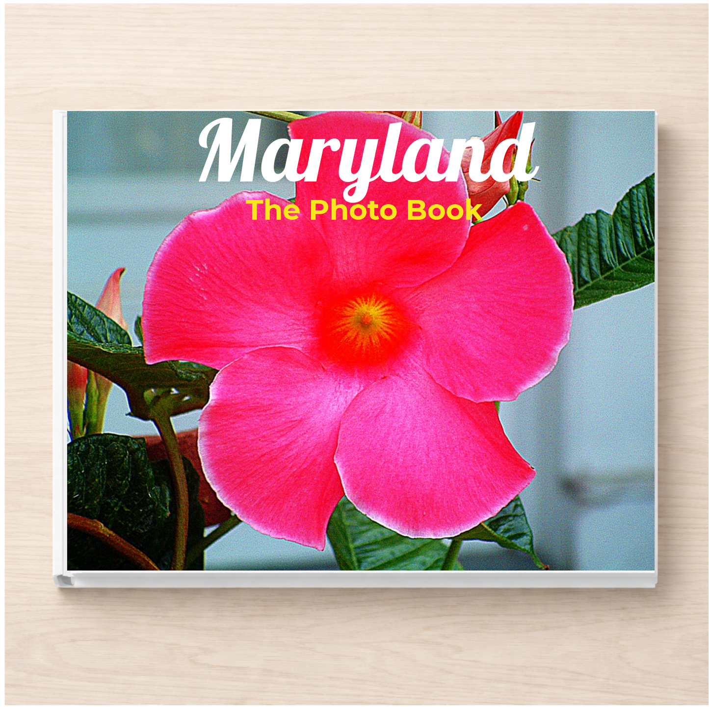 Maryland: The Photo Book