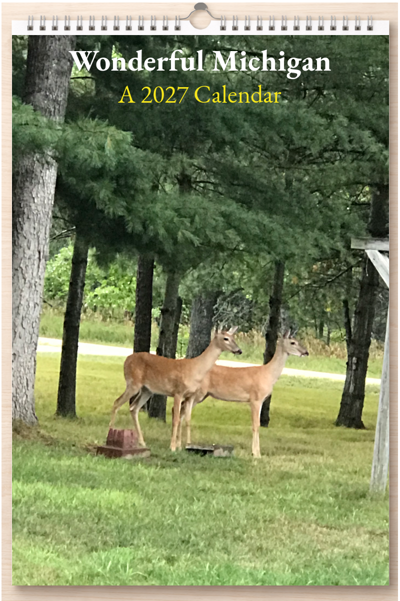 Wonderful Michigan: A 2027 Calendar
