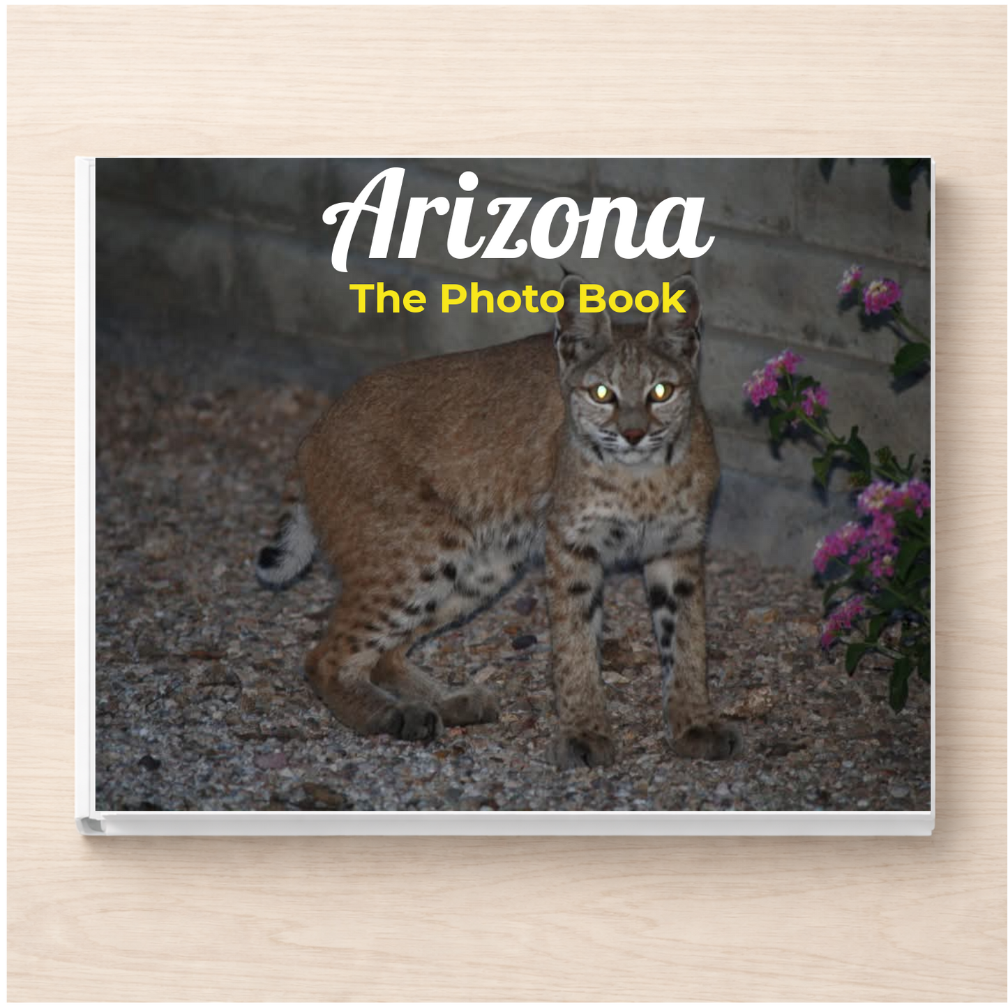 Arizona: The Photo Book