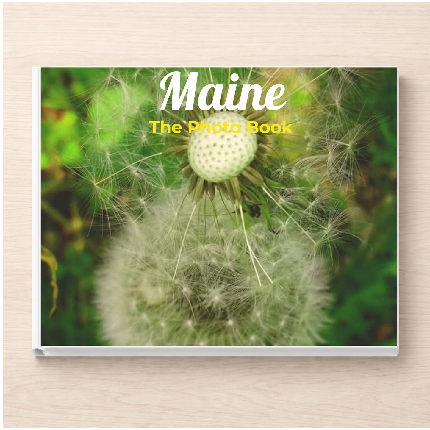 Maine: The Photo Book
