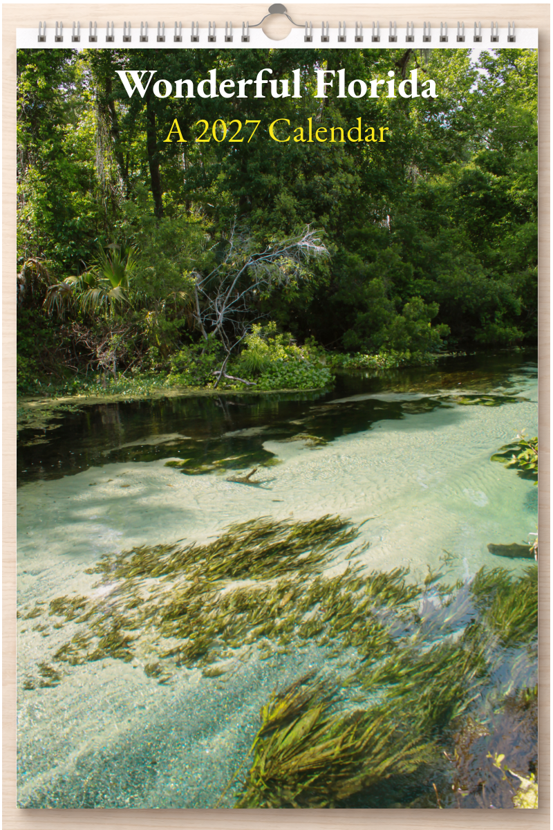 Wonderful Florida: A 2027 Calendar