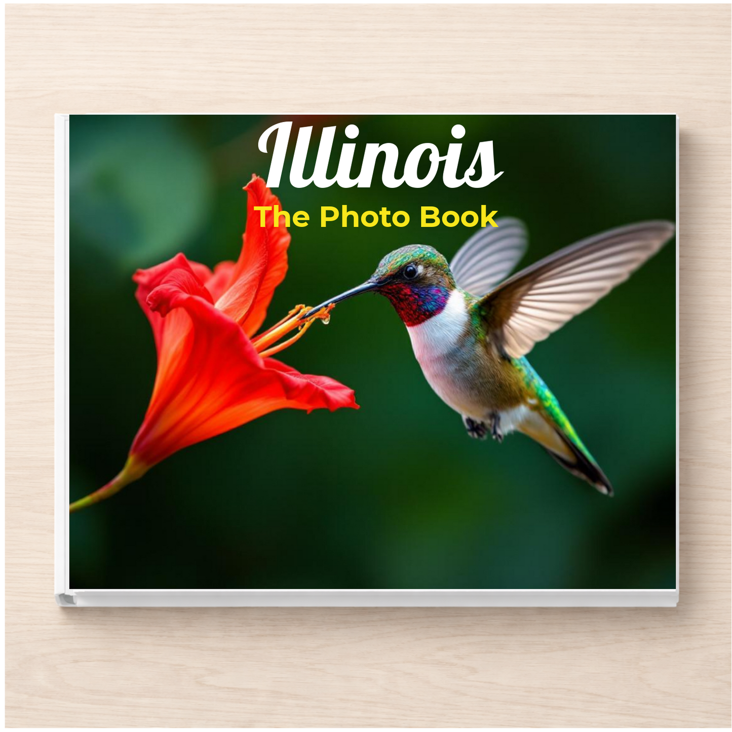 Illinois: The Photo Book