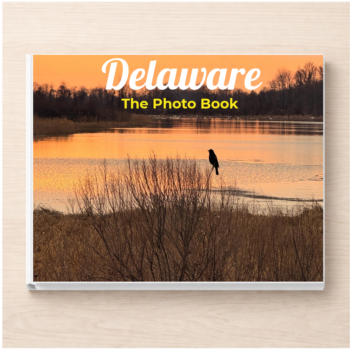 Delaware: The Photo Book