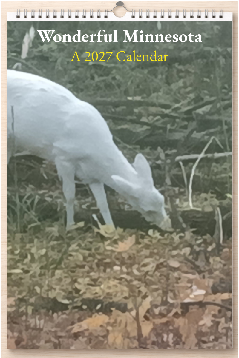 Wonderful Minnesota: A 2027 Calendar