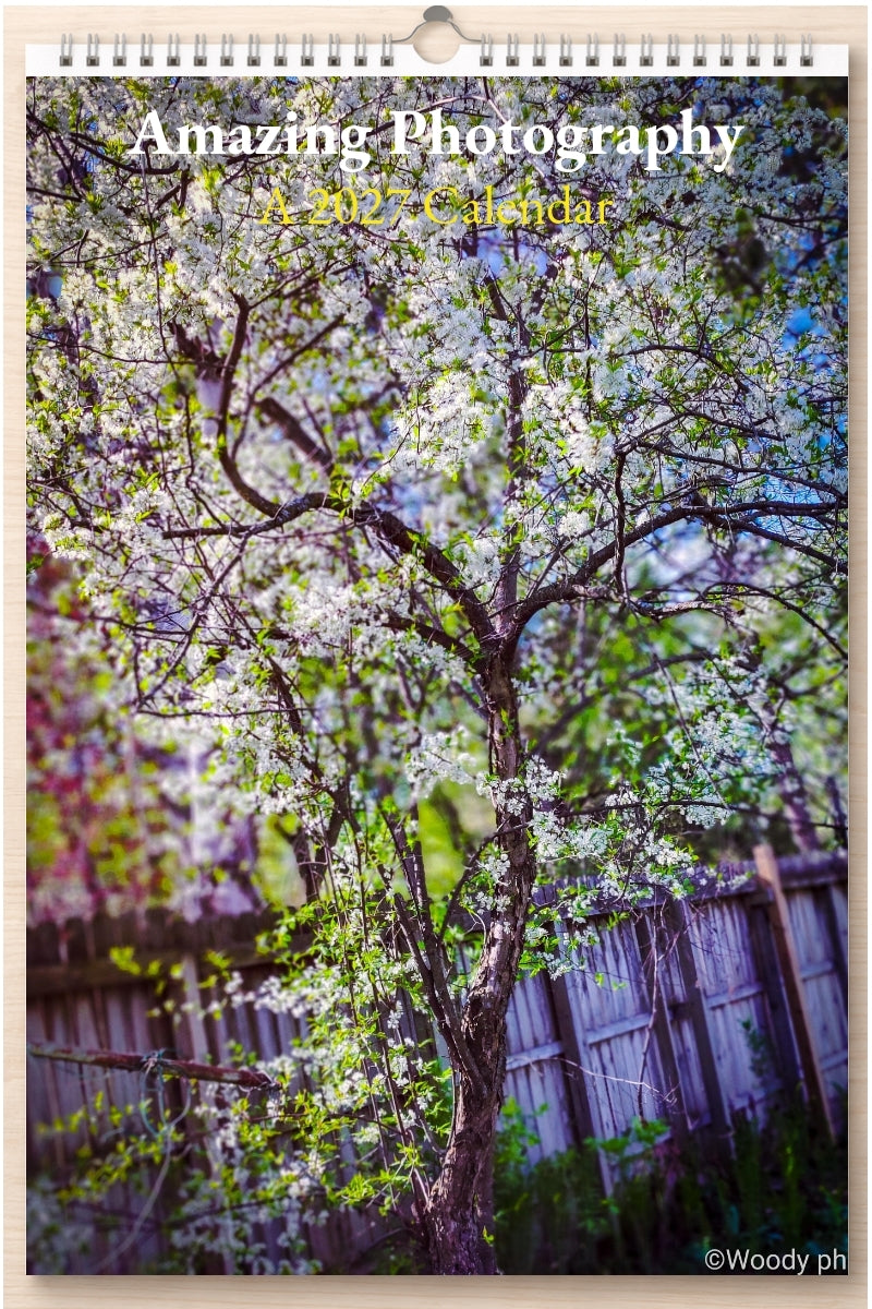 Amazing Photography: A 2027 Calendar