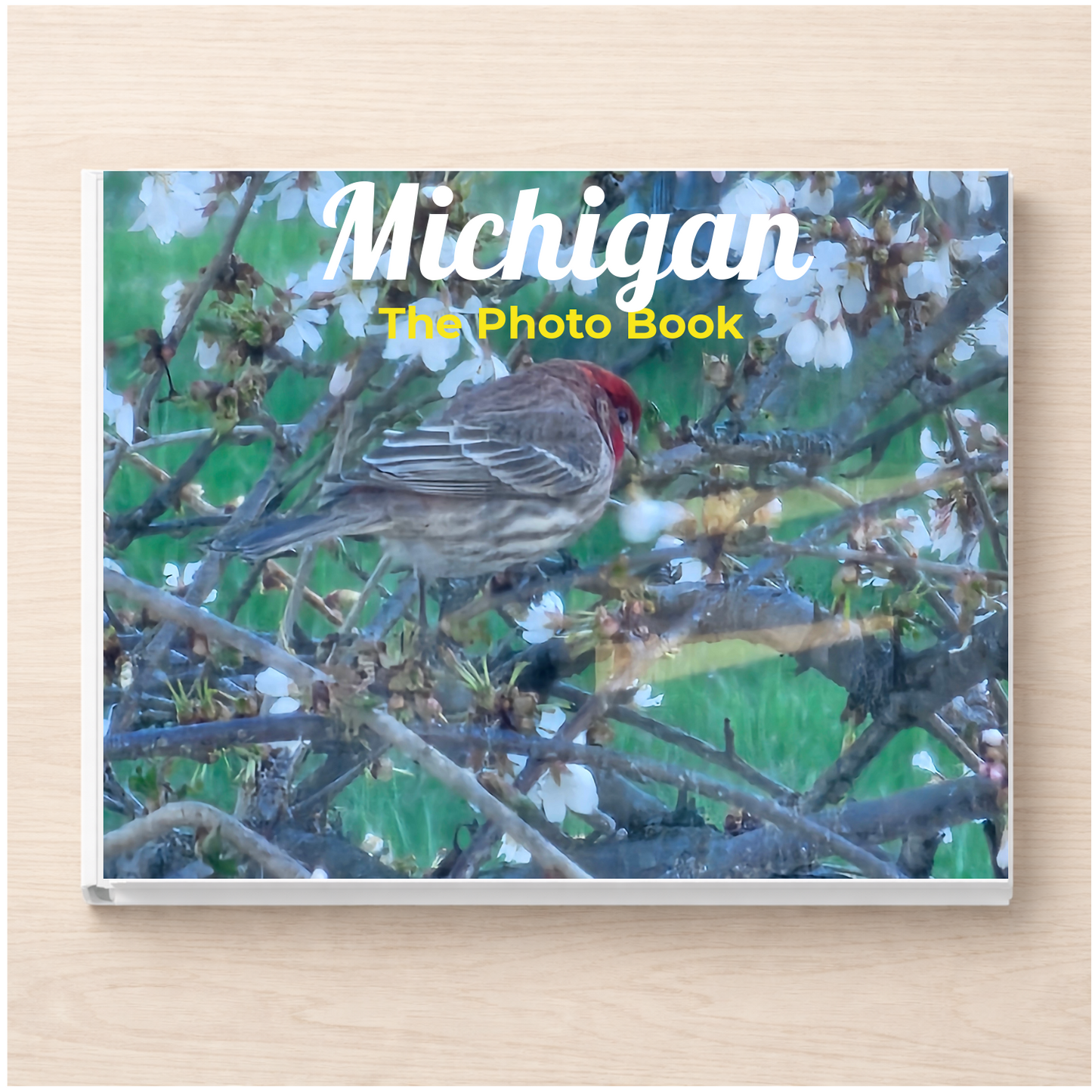 Michigan: The Photo Book