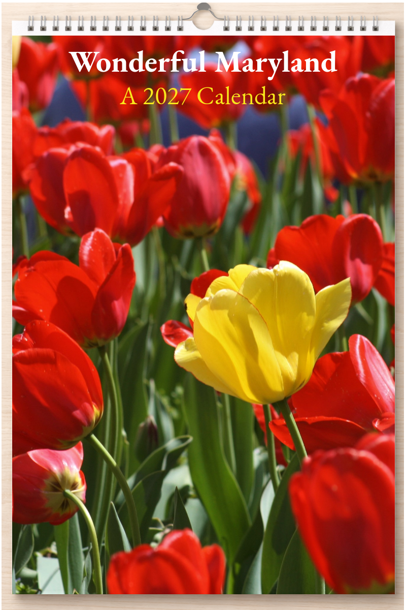 Wonderful Maryland: A 2027 Calendar