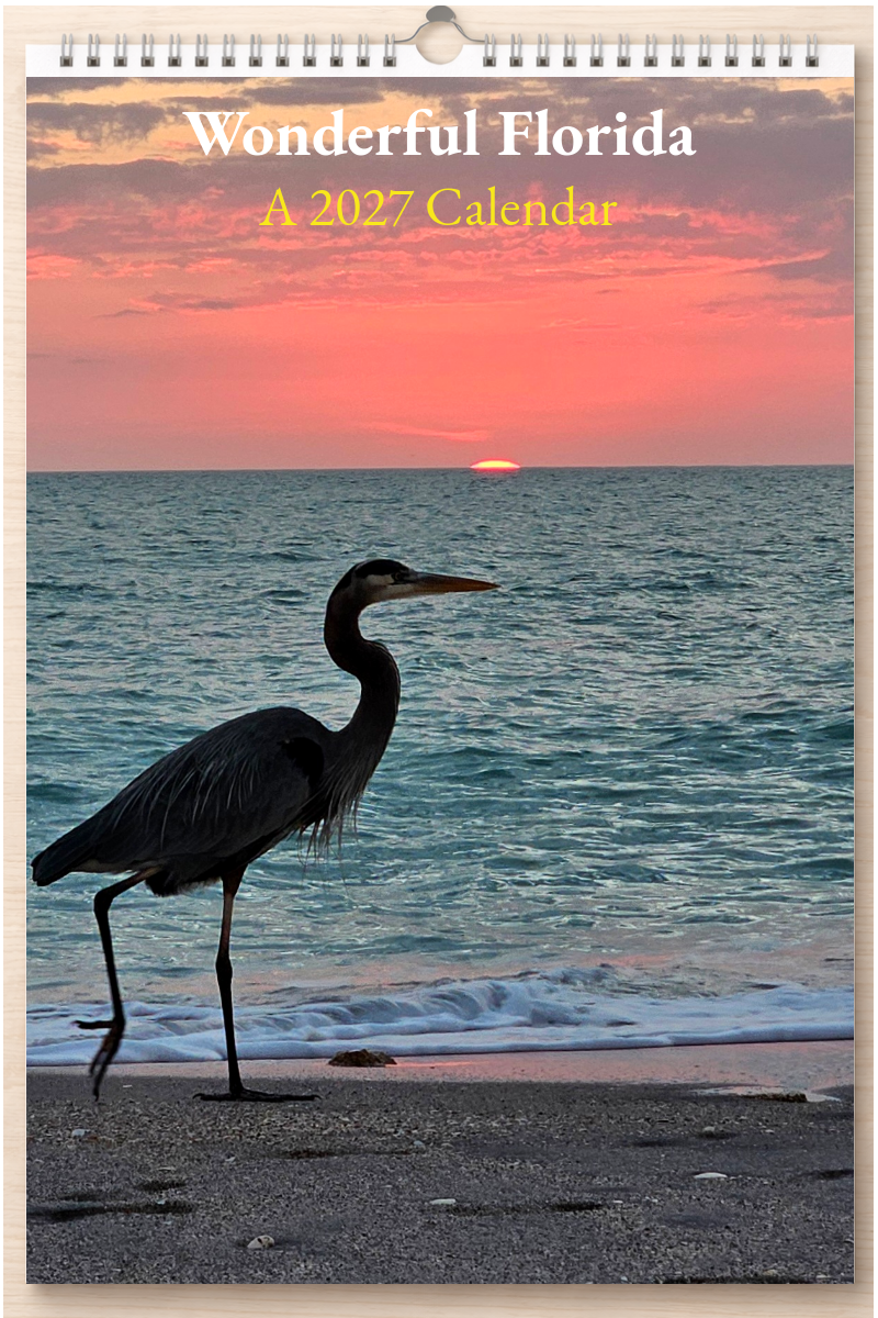 Wonderful Florida: A 2027 Calendar