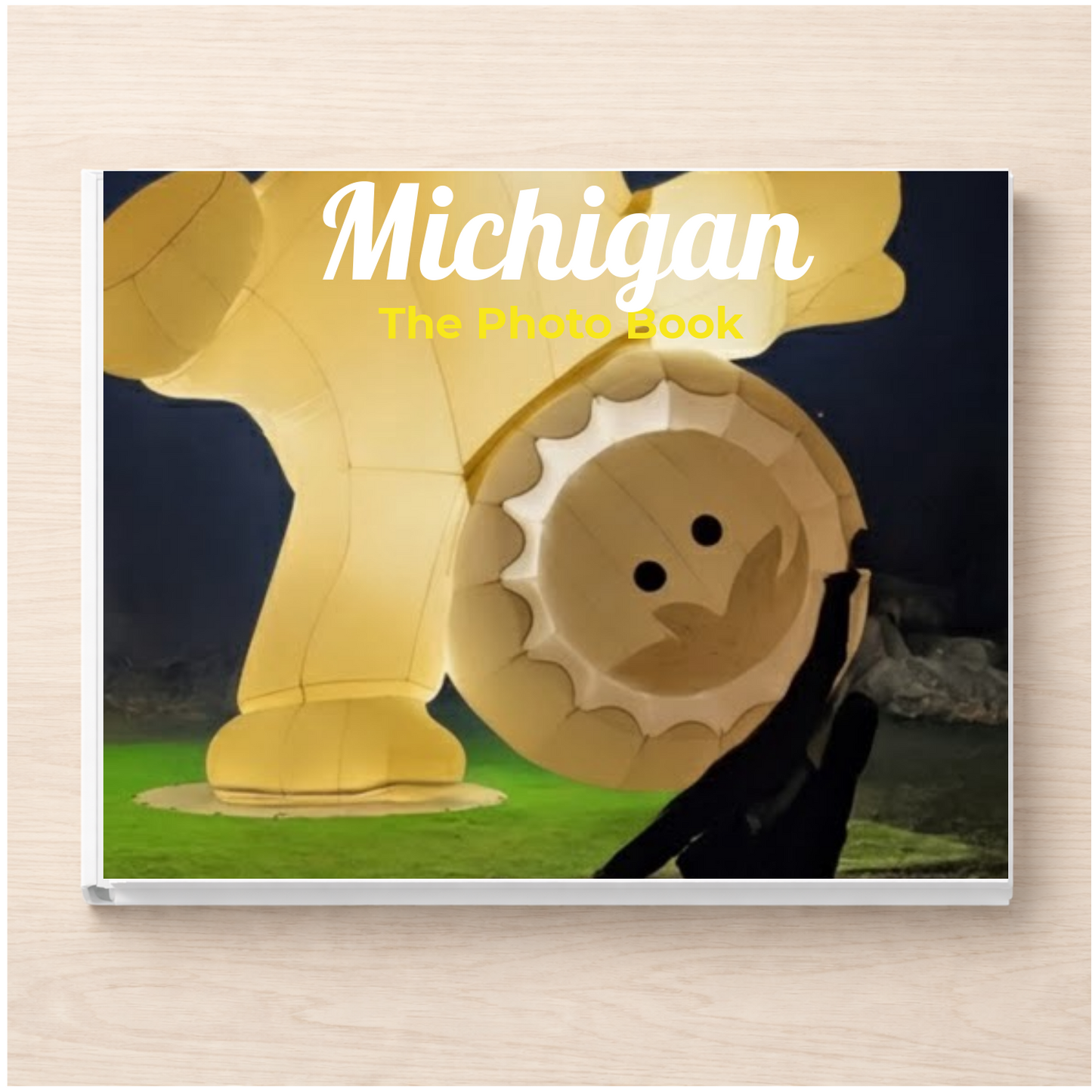 Michigan: The Photo Book