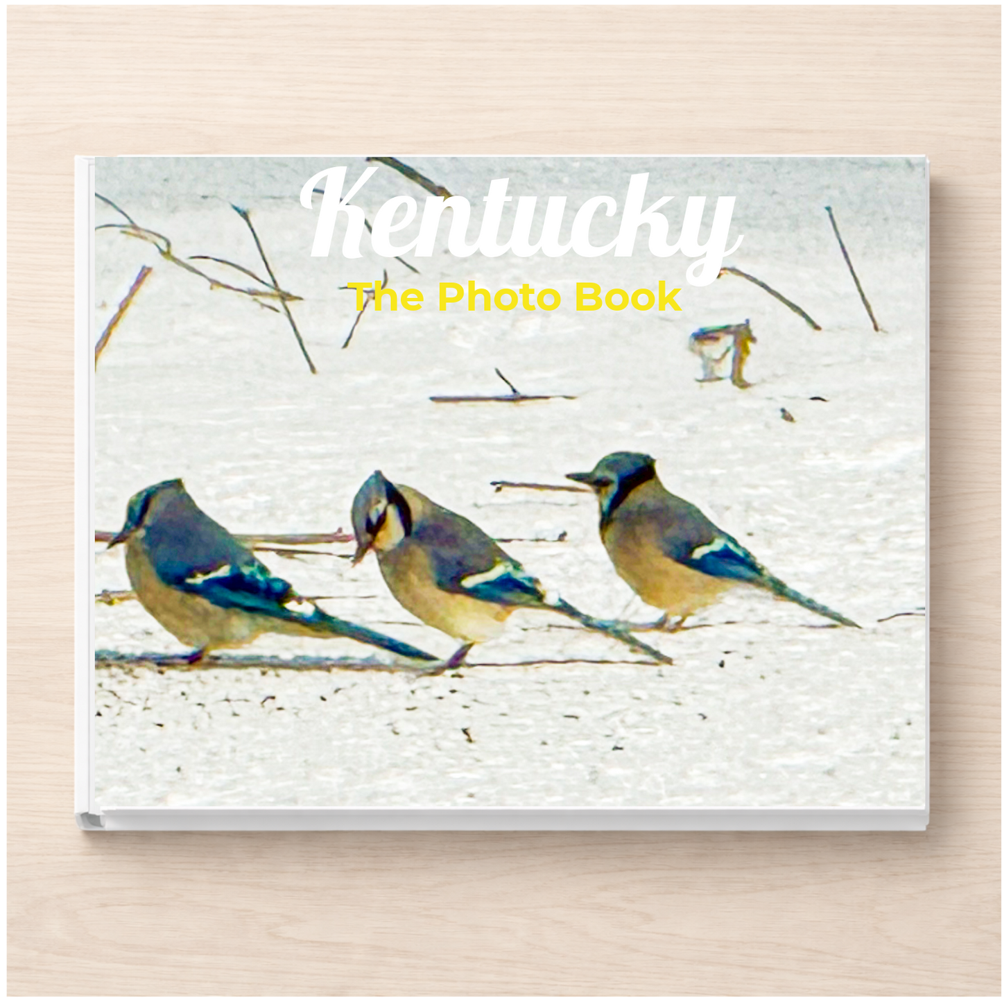 Kentucky: The Photo Book