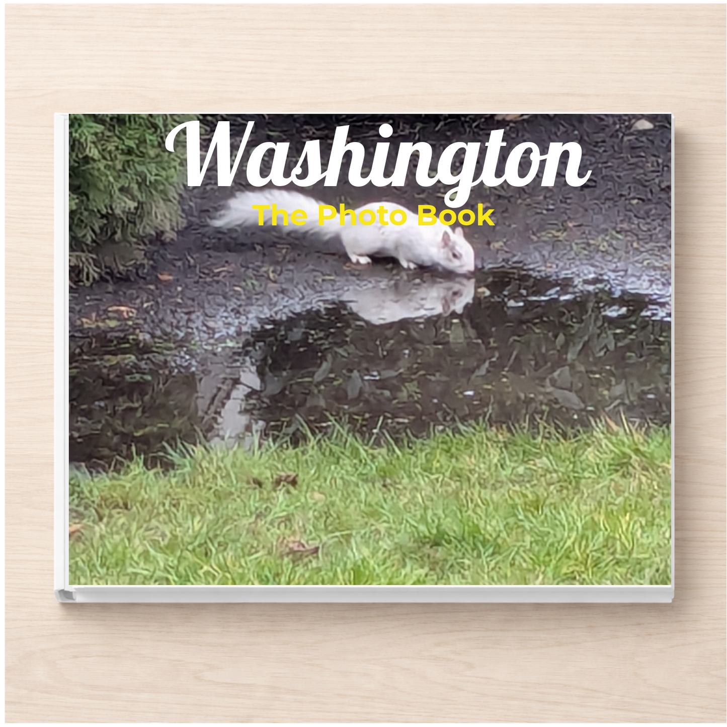 Washington: The Photo Book