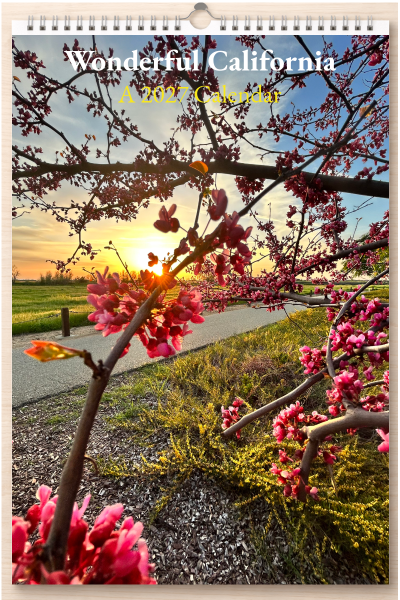 Wonderful California: A 2027 Calendar