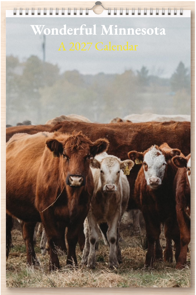 Wonderful Minnesota: A 2027 Calendar