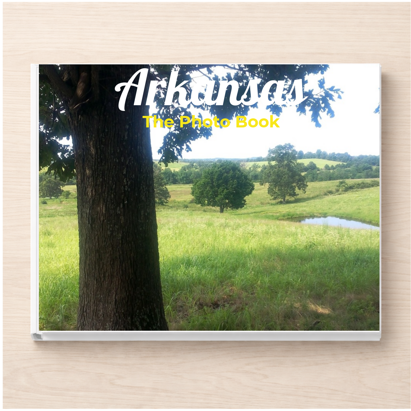 Arkansas: The Photo Book