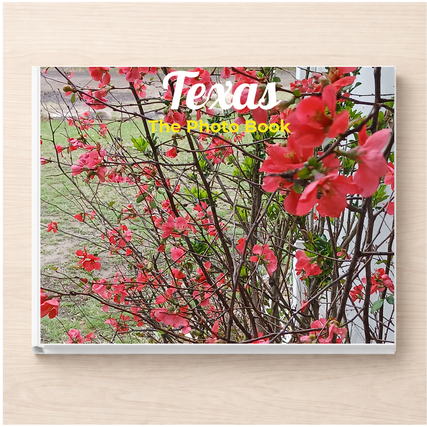 Texas: The Photo Book