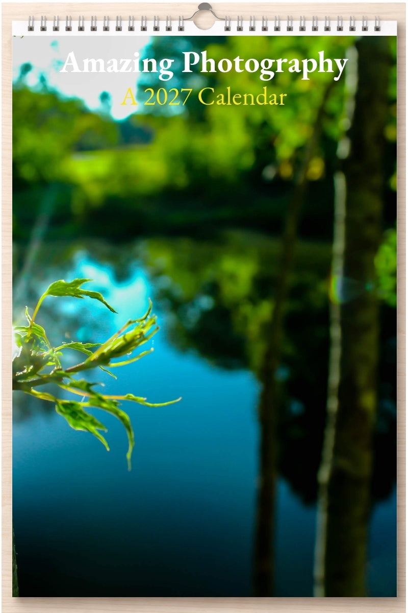 Amazing Photography: A 2027 Calendar