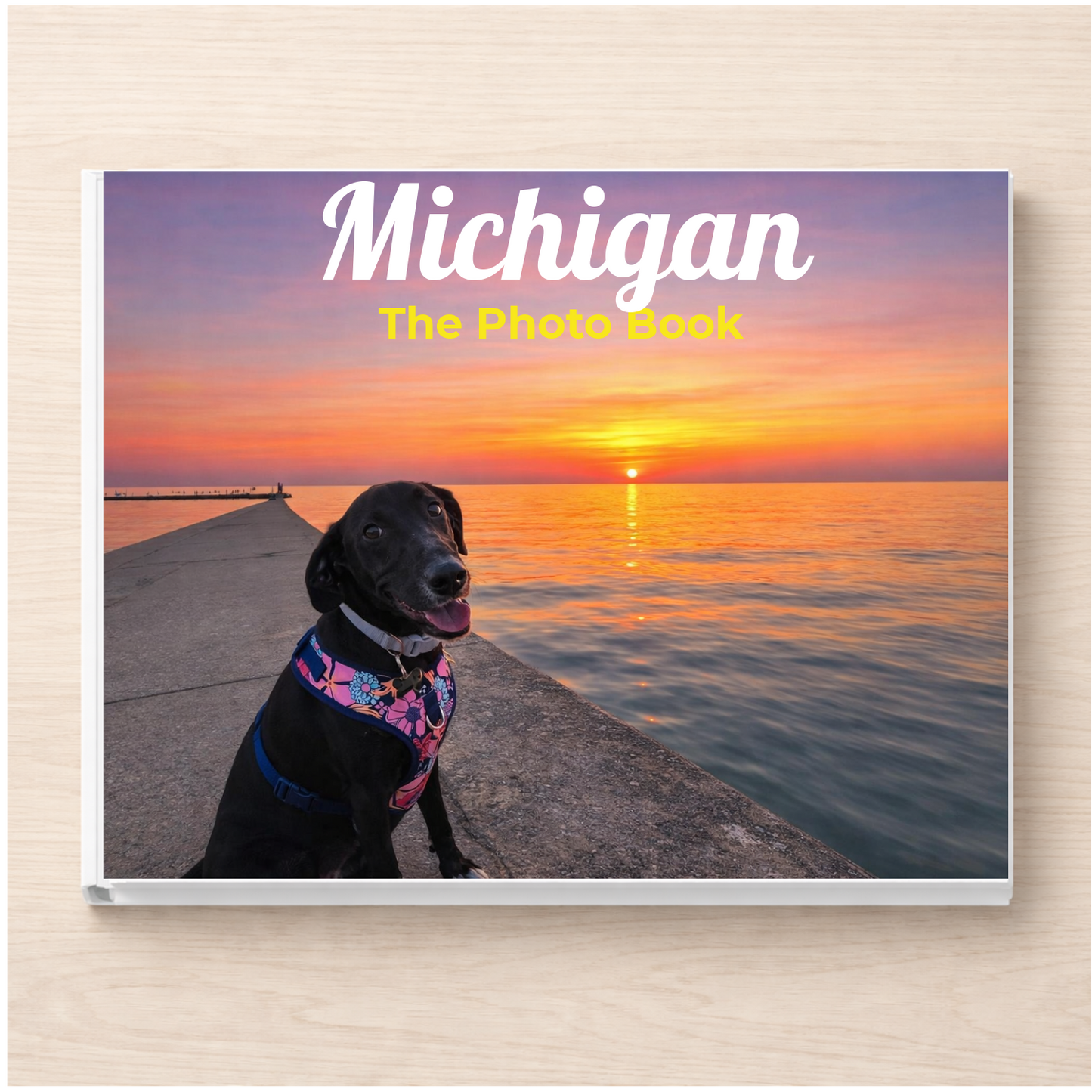 Michigan: The Photo Book