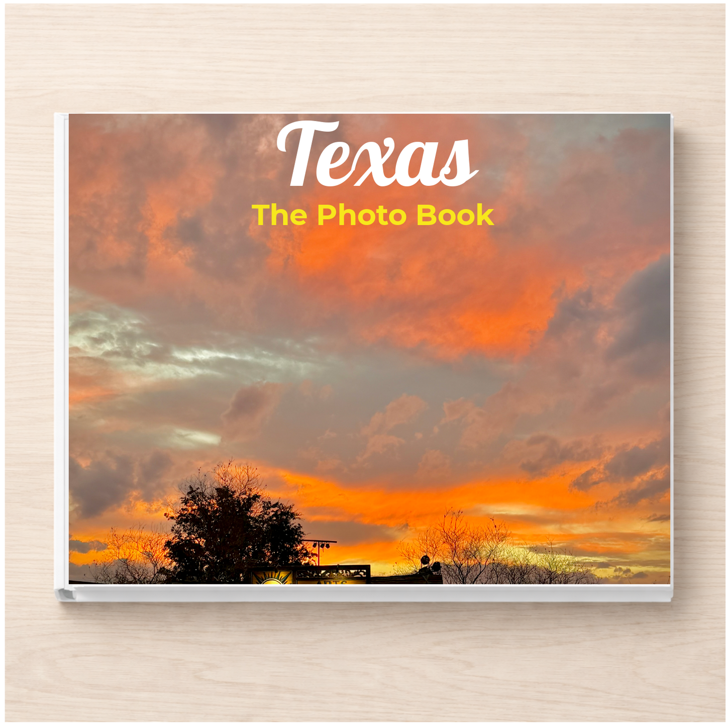 Texas: The Photo Book