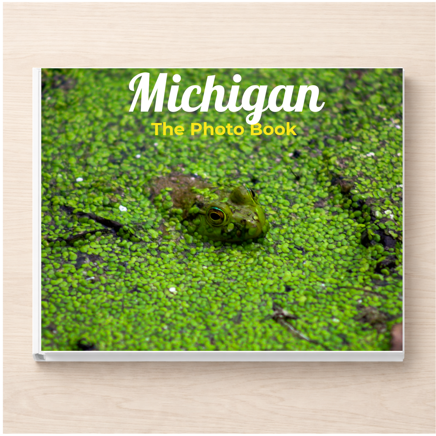 Michigan: The Photo Book