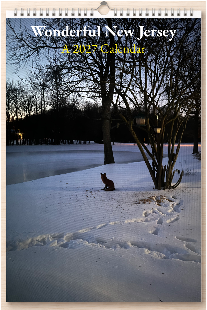 Wonderful New Jersey: A 2027 Calendar