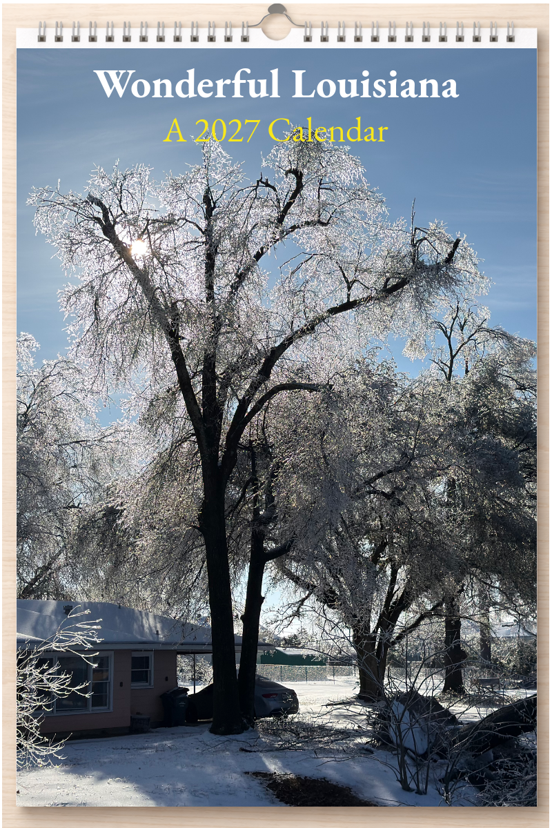 Wonderful Louisiana: A 2027 Calendar