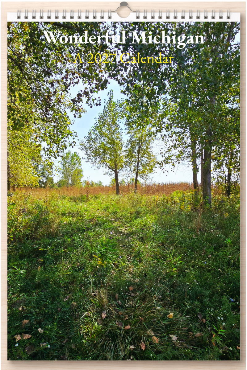 Wonderful Michigan: A 2027 Calendar