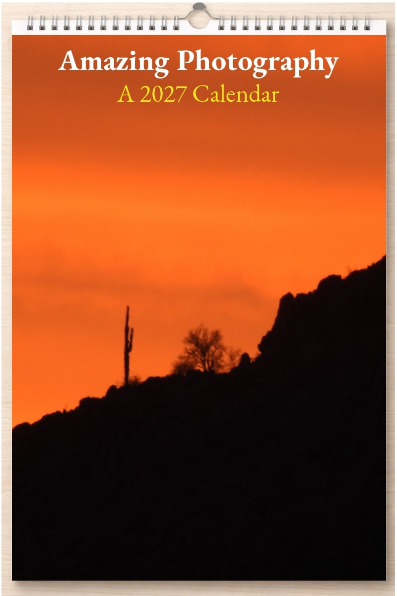 Amazing Photography: A 2027 Calendar