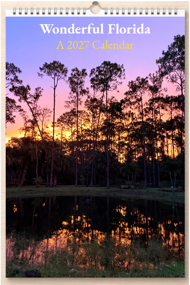 Wonderful Florida: A 2027 Calendar